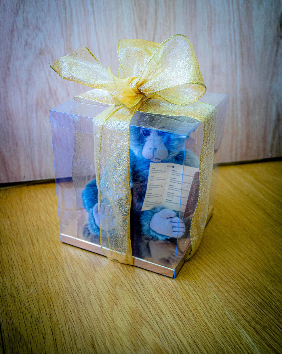 18cm Transparent Boxes (various sizes) x 5