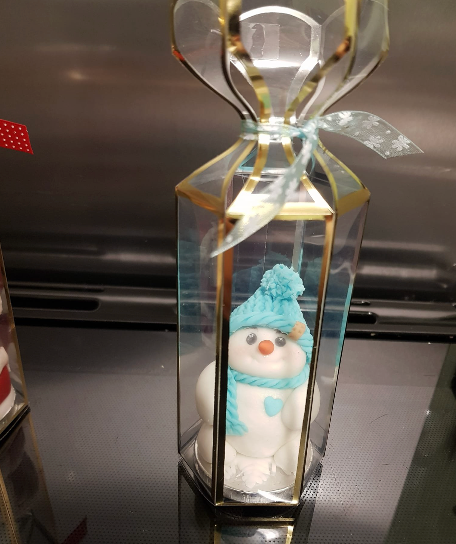 Transparent Saccolo Lantern Boxes X 10