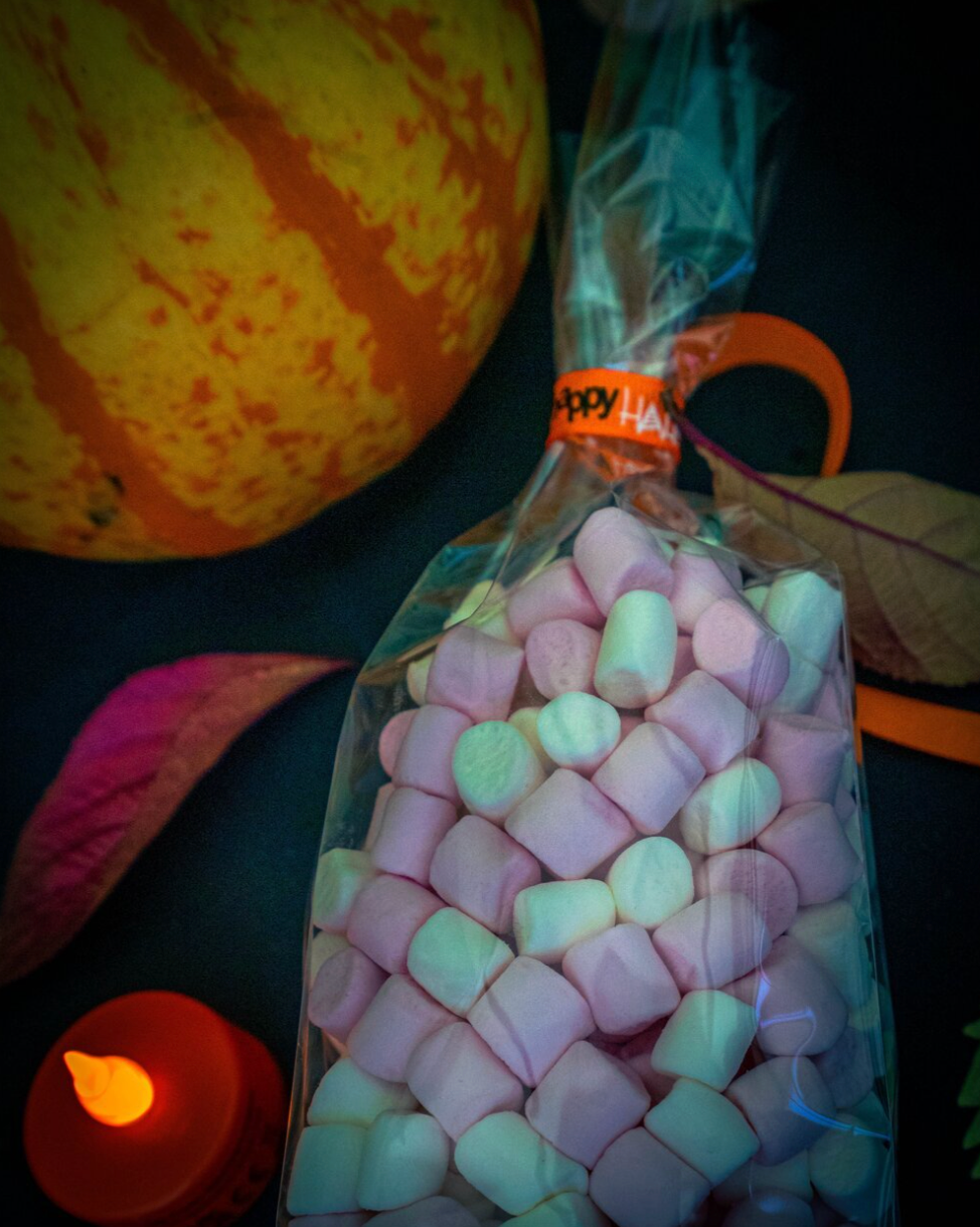 Clear Cello Bag 8x4x24cm x 10