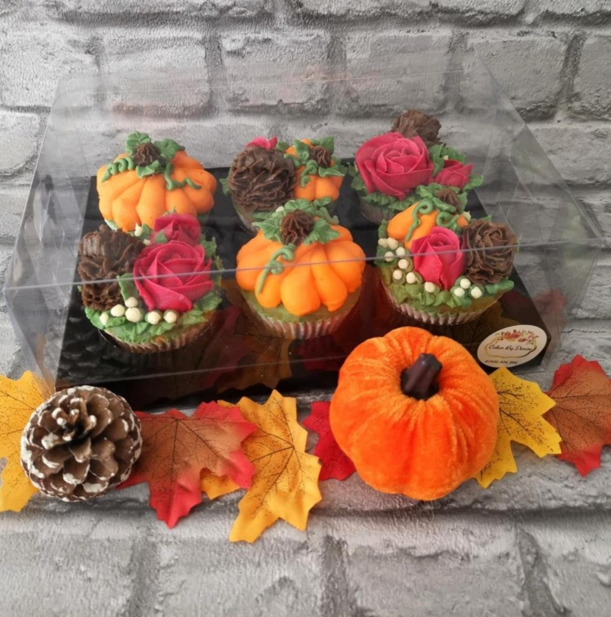 Transparent Cupcake Boxes (multiple sizes/colours) x 5