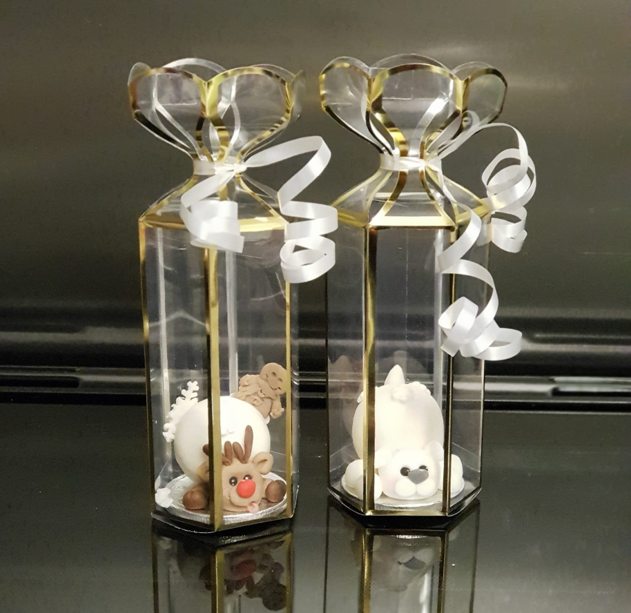 Transparent Saccolo Lantern Boxes X 10