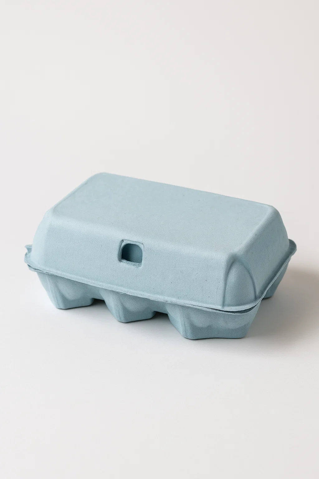 Coloured Egg Cartons x 12