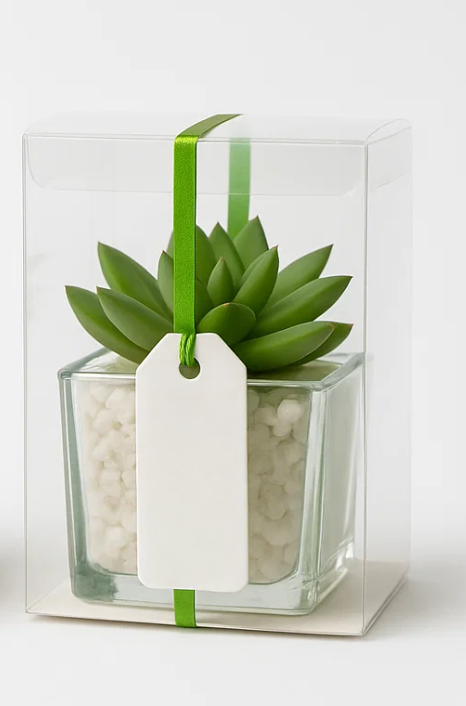 10x10x19cm 4 Flap Base Transparent Boxes x 10