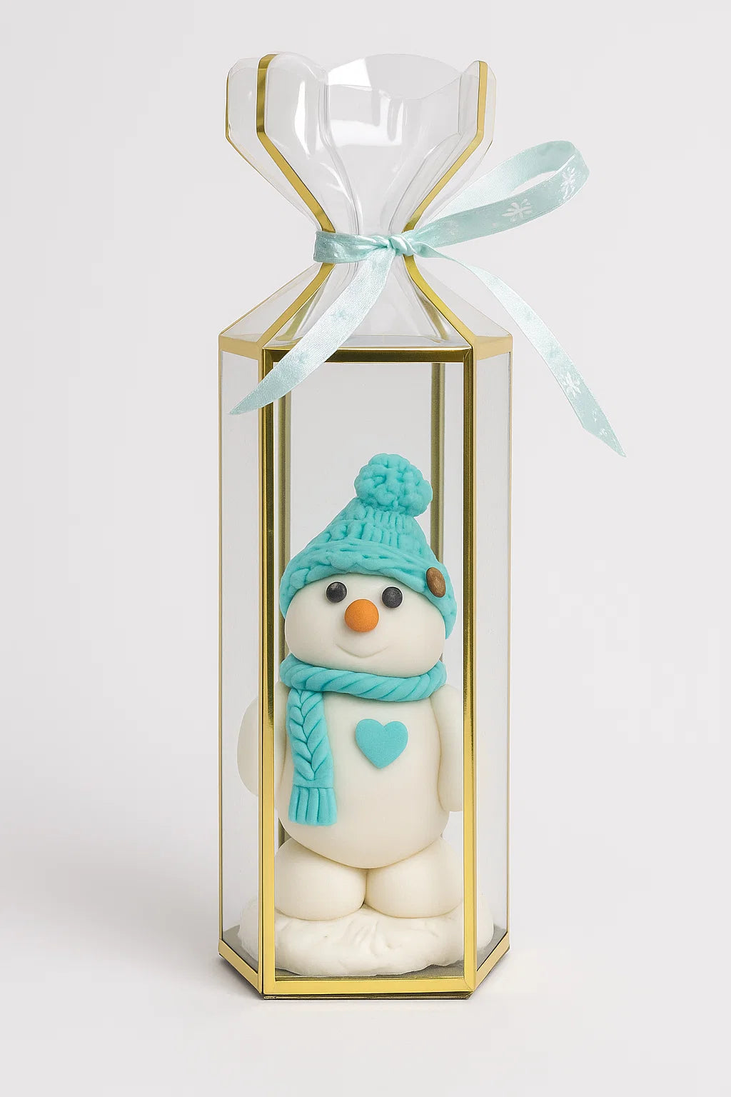 Transparent Saccolo Lantern Boxes X 10