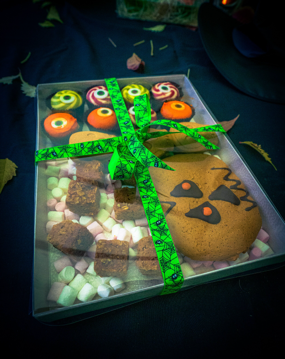 Large Transparent Tray Box x 5