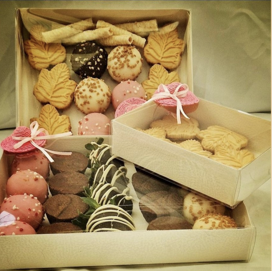 Cupcake Boxes