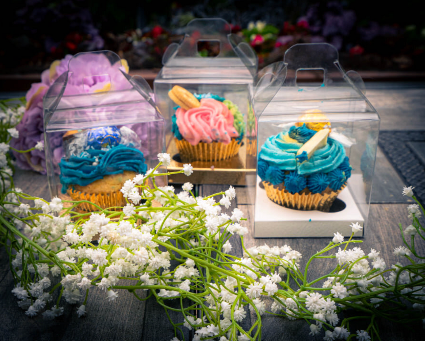 Cupcake box with Transparent Lid (Various Sizes)