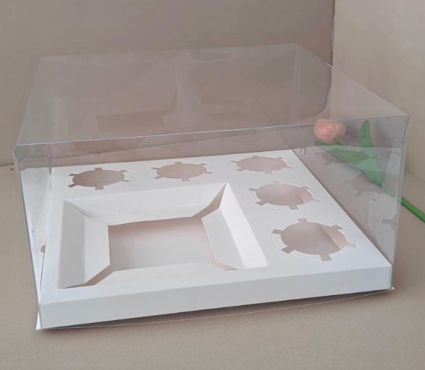 Full Transparent Bento Boxes x 5