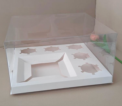 Full Transparent Bento Boxes x 5