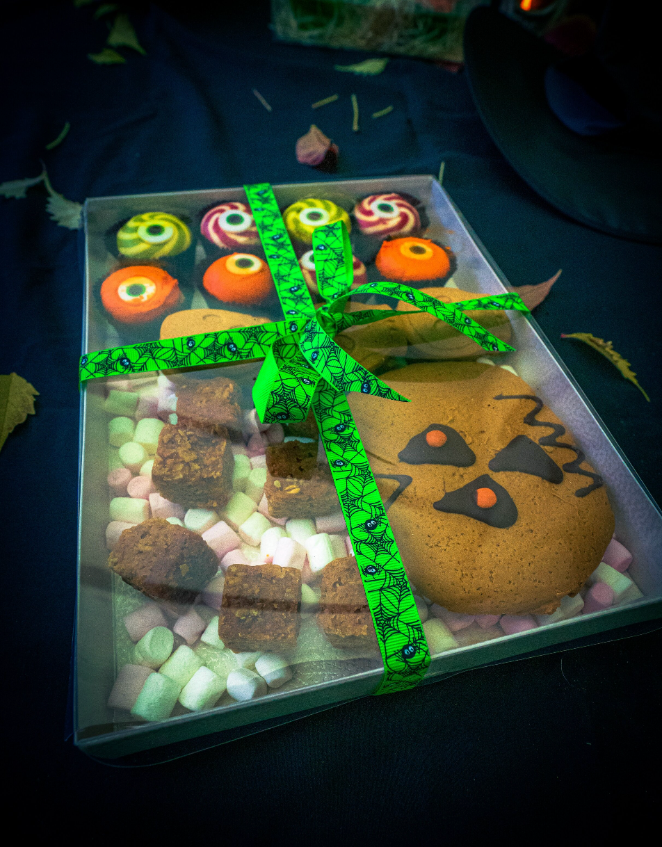 Large Transparent Tray Box x 5