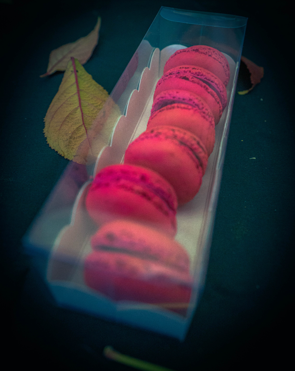 Pelle Macaron Box with Scalloped Edge
