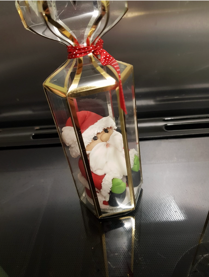 Transparent Saccolo Lantern Boxes X 10