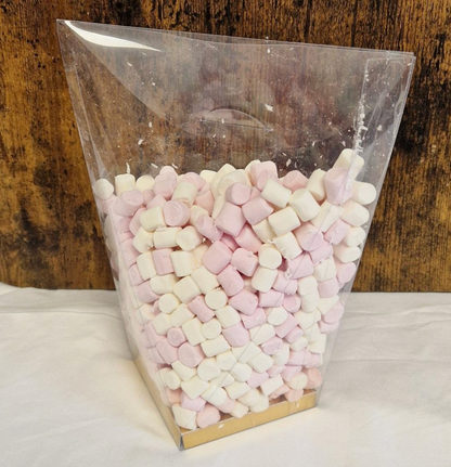 Transparent Sachet Treat Box x 10