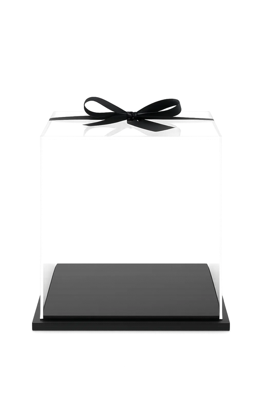 10" Transparent Boxes - x 5
