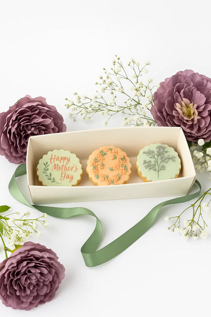 Cupcake Box With Full Clear Lid x 2
