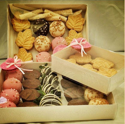 Cookie/Treat Boxes with Full Transparent Sleeve (various sizes) x 5
