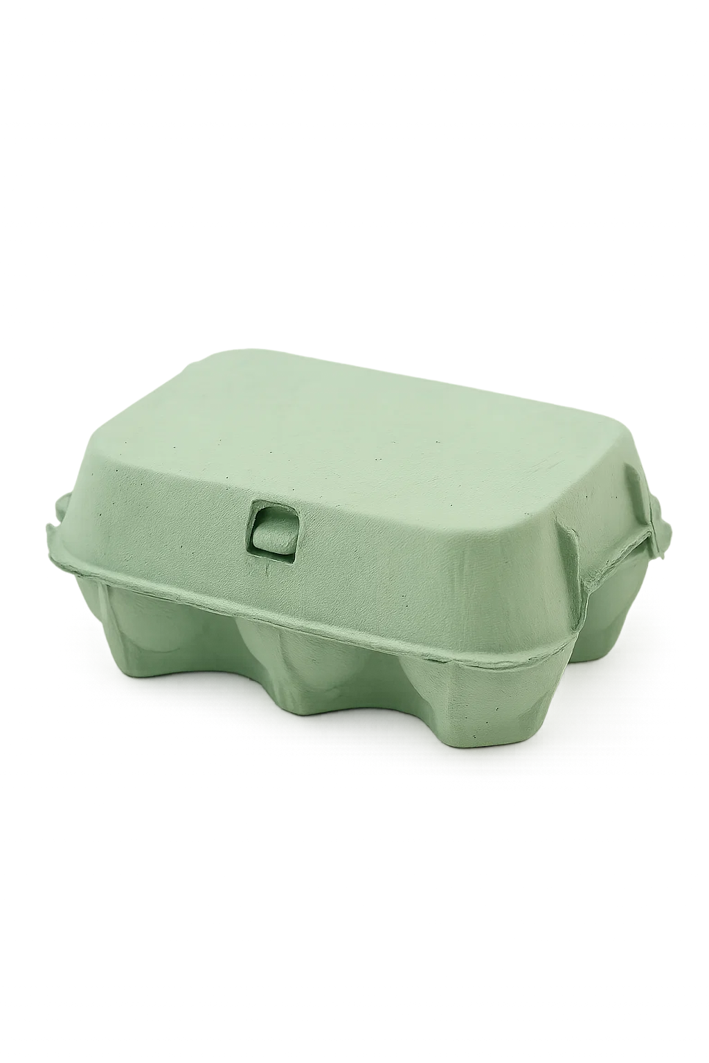 Coloured Egg Cartons x 12