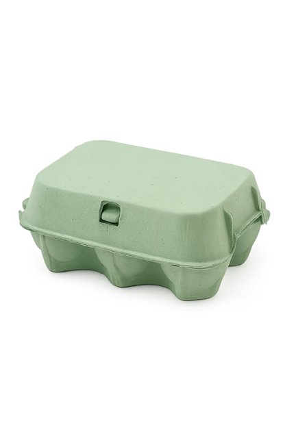Coloured Egg Cartons x 12