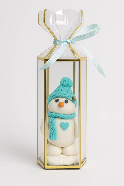 Transparent Saccolo Lantern Boxes X 10