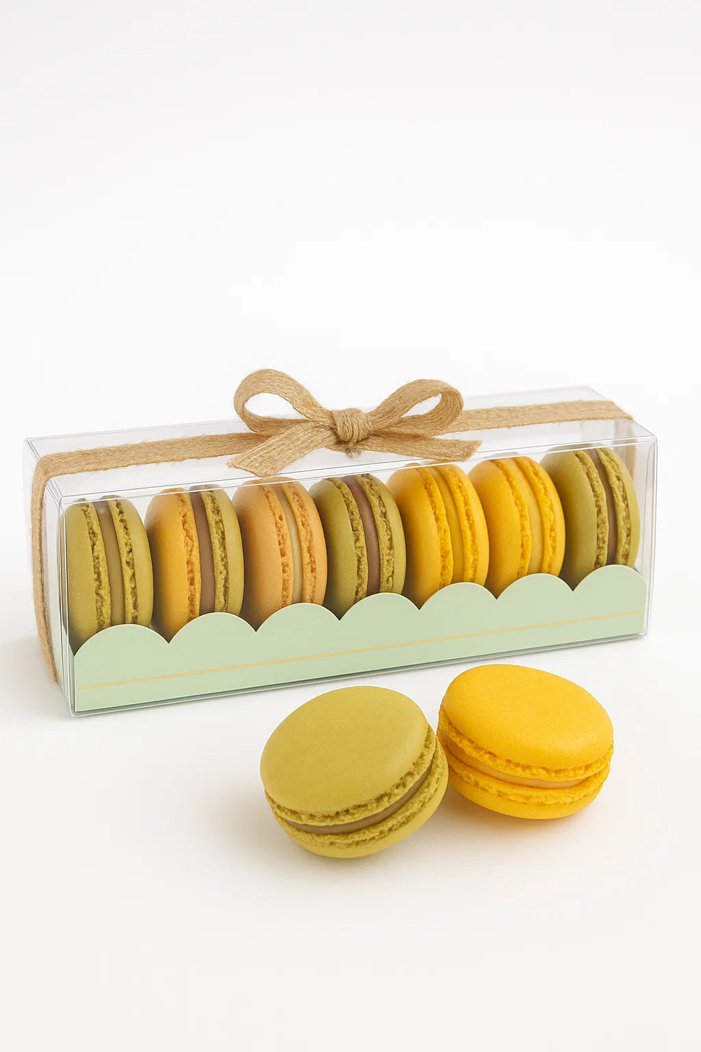 Macaron Boxes w/ Scalloped Edge and trim x 5
