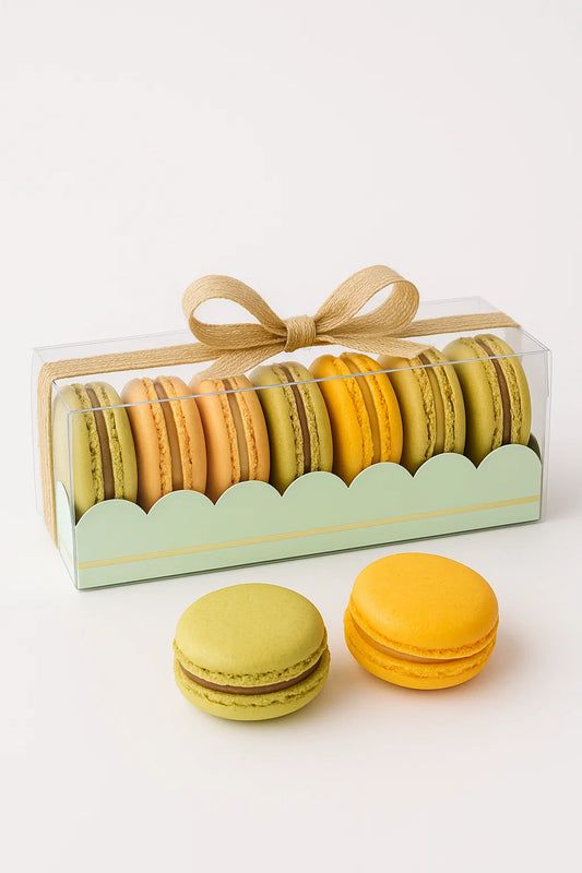 Macaron Boxes w/ Scalloped Edge and trim x 5