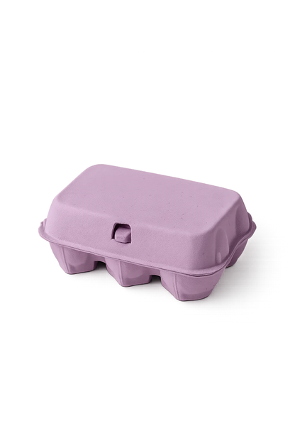 Coloured Egg Cartons x 12