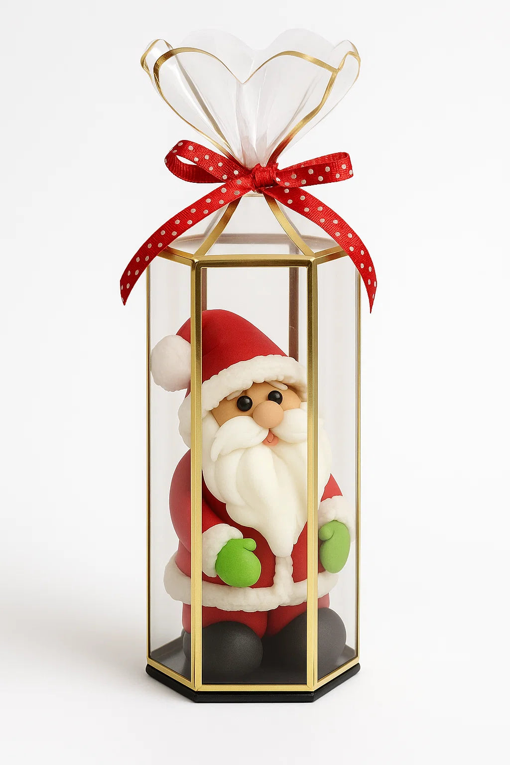 Transparent Saccolo Lantern Boxes X 10