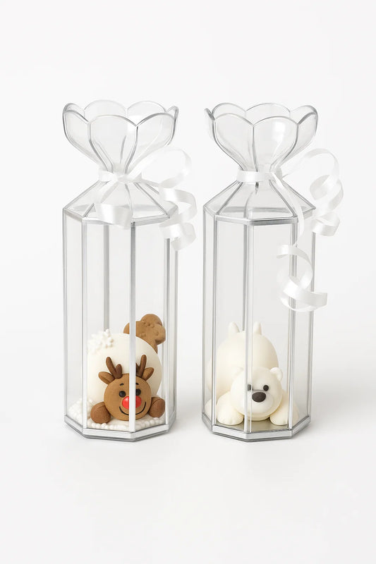 Transparent Saccolo Lantern Boxes X 10