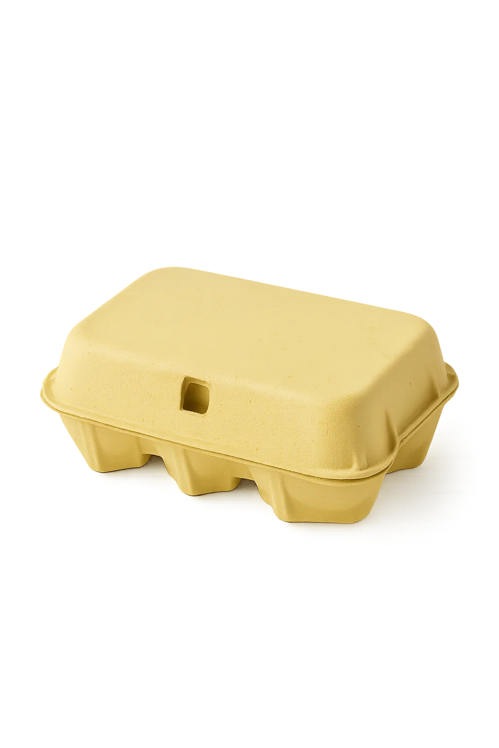 Coloured Egg Cartons x 12
